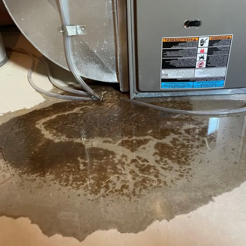 Pipe Burst and Leak Restoration in Sweetser, IN