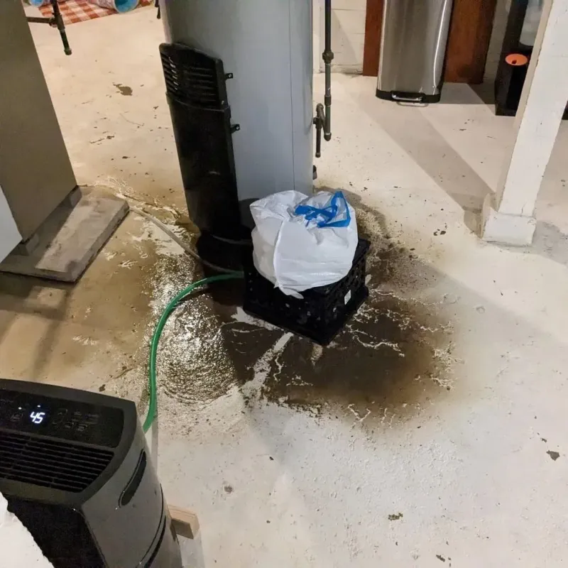 Sewage Backup Cleanup Service in Sweetser, IN